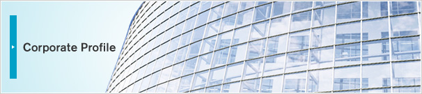 Corporate Profile